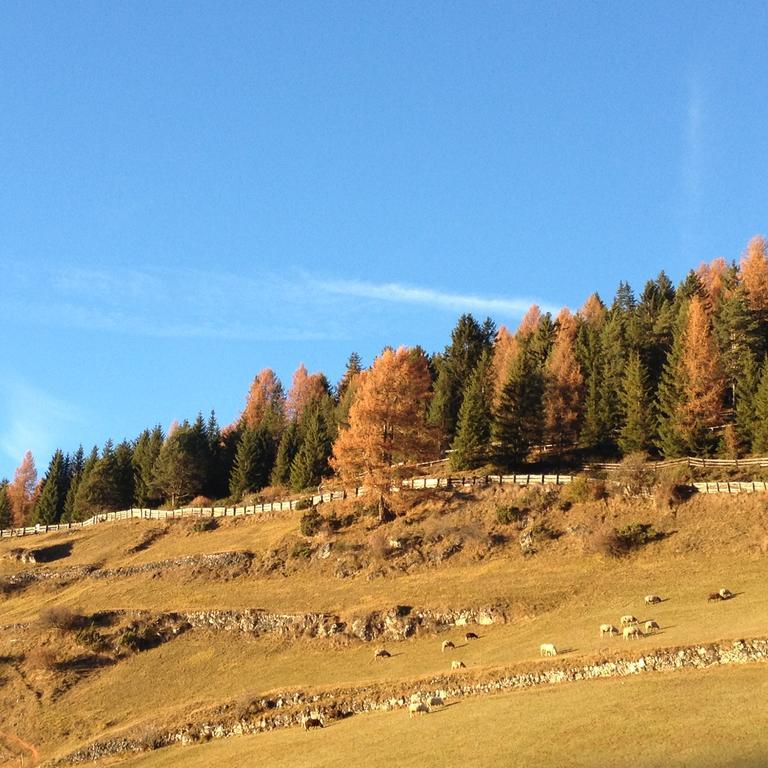 Agriturismo Maso Larciunei Wolkenstein in Gröden Exterior foto
